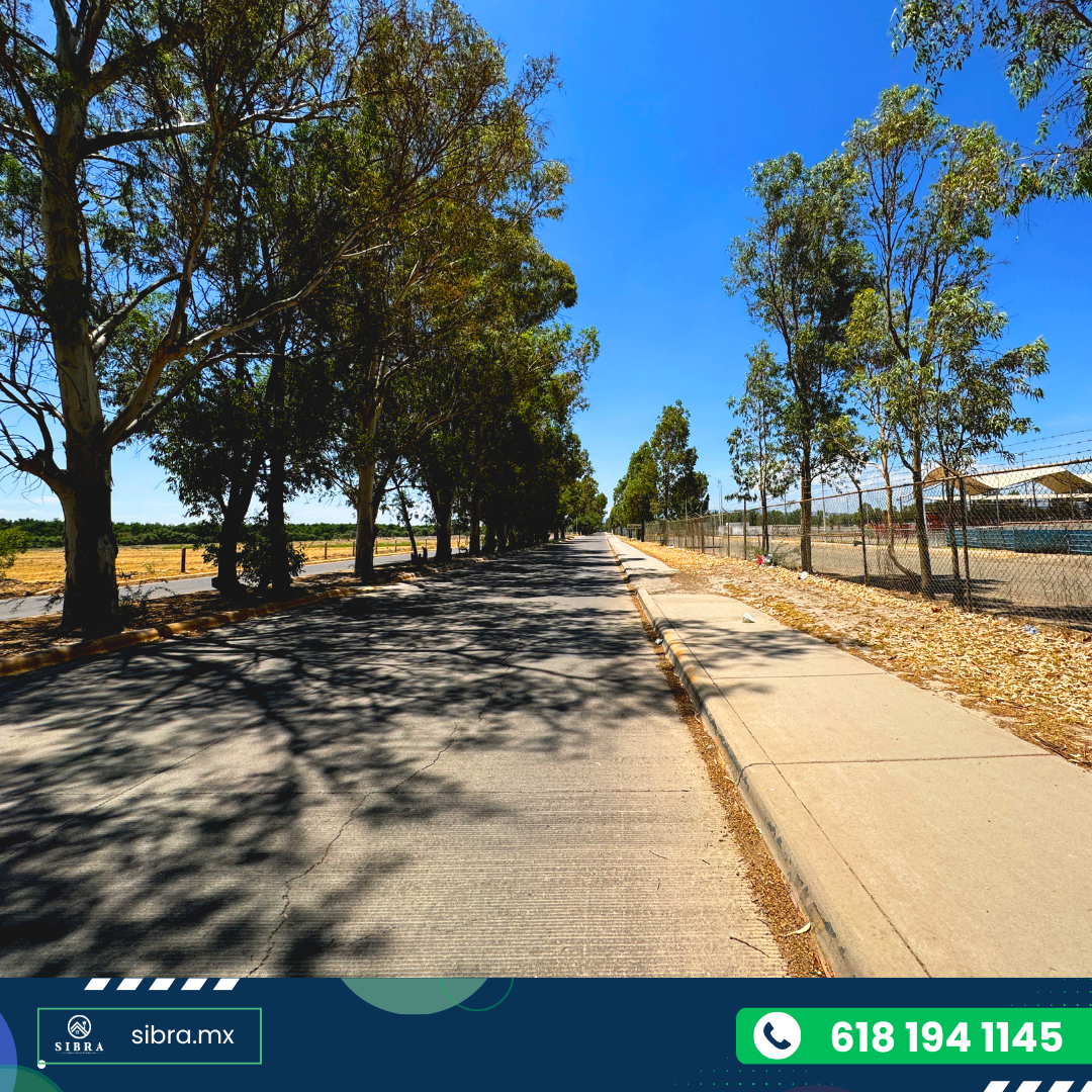 Fotografia de la propiedad en Terreno en avenida, Col Conquistadores 34198 No. 0